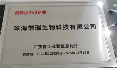 创新型中小企业