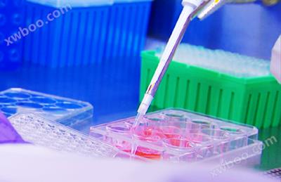 活动丨惊喜！珠海恺瑞生物细胞培养基买一送一啦！