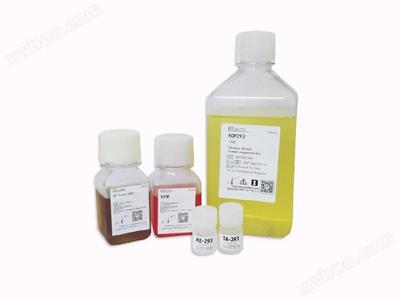 KOP293瞬时转染蛋白表达系统