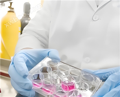 立足细胞工程技术，赋能精准医学研究