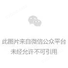 杂交瘤细胞无血清培养驯化 杂交瘤细胞无血清培养驯化