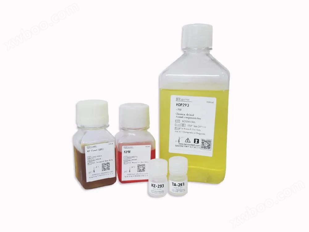 KOP293瞬时转染蛋白表达系统